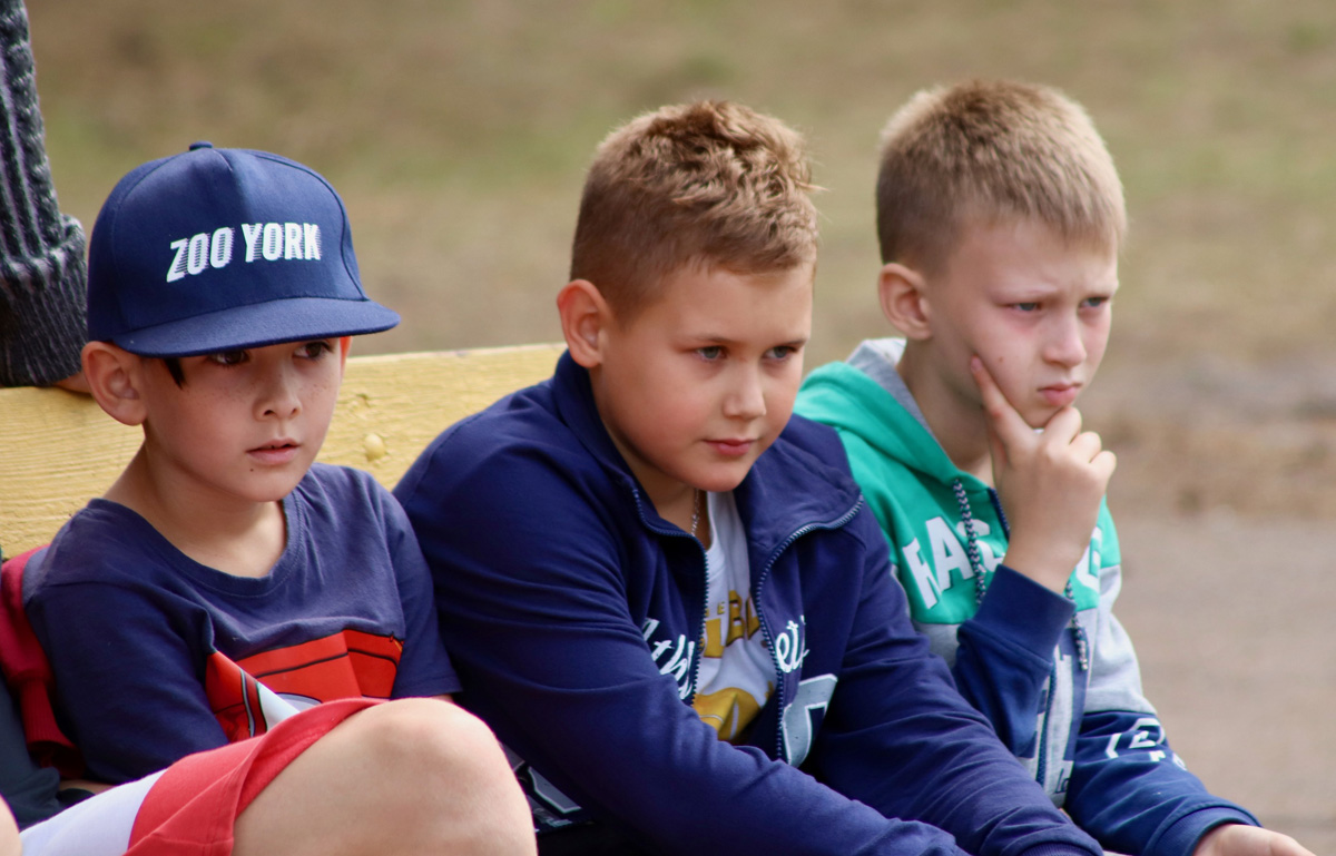 Camp school. Боевая школа лагерь. Шуа лагерь. Летний школьный лагерь в паби.дворец боевых искусств Тольятти.